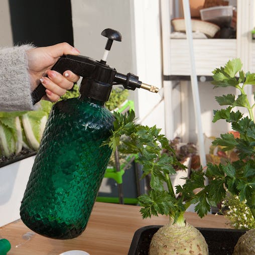 SOGA 2L Mist Water Spray Bottle with Adjustable Nozzle and Top Pump