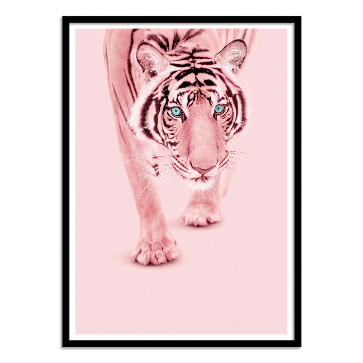 PAUL FUENTES - PINK TIGER - Affiche d'art 30 x 40 cm