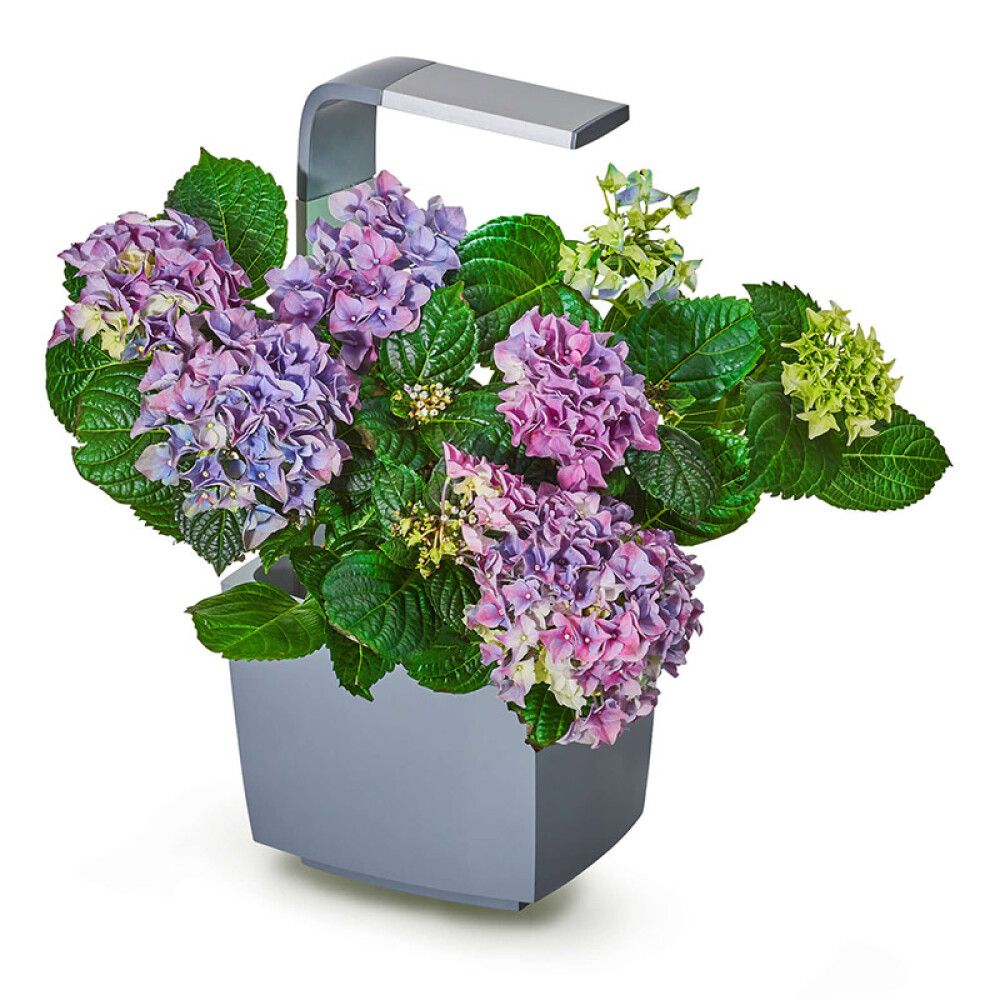 URTEHAGE TREGREN T3 KITCHEN GARDEN GRÅ