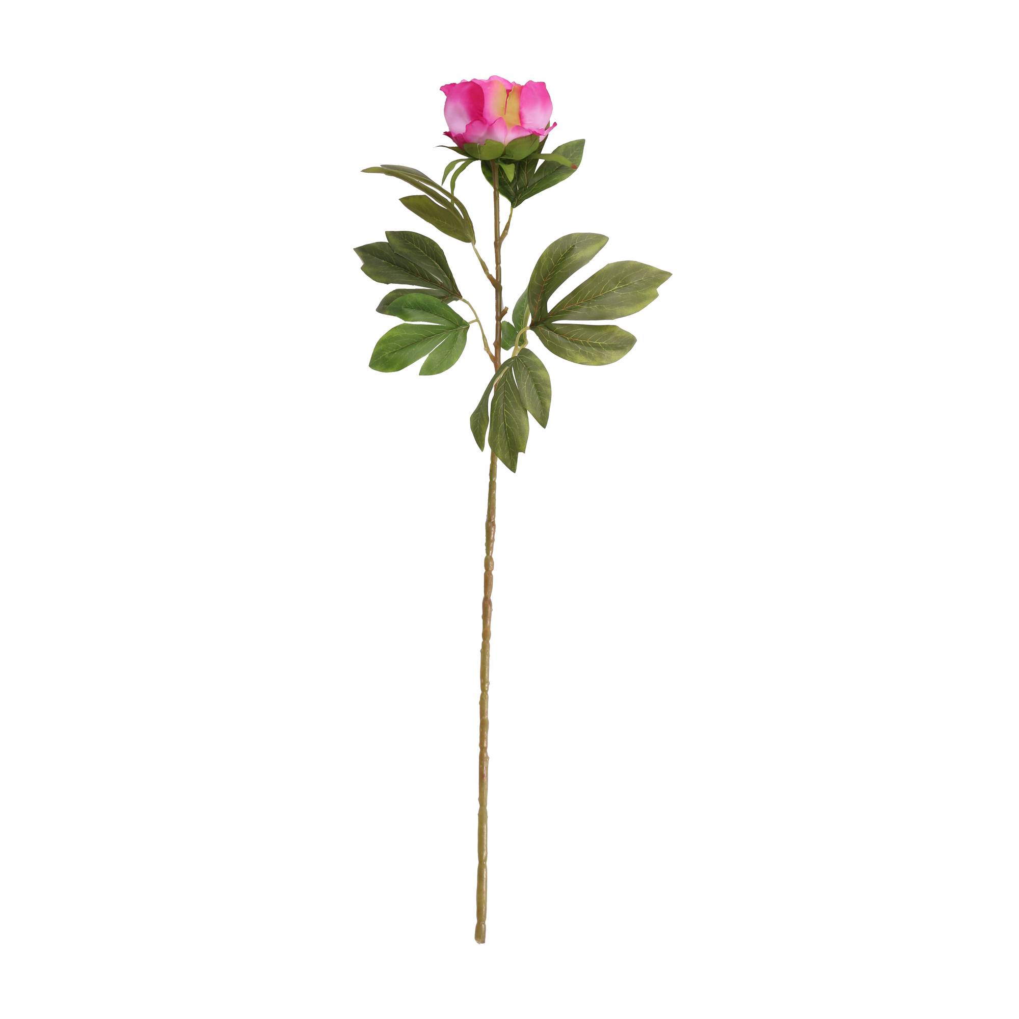 Cerise Peony 80cm x 11cm