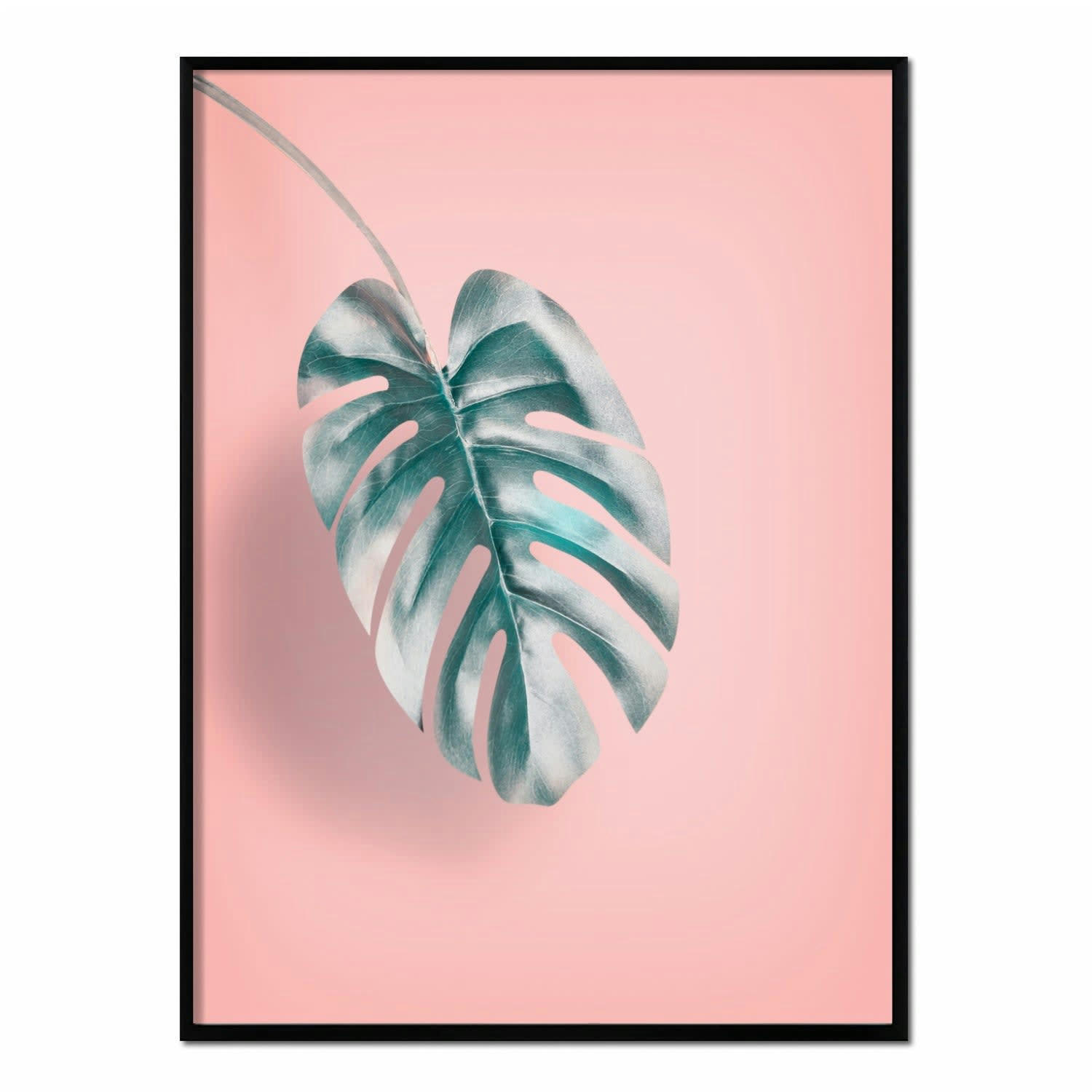 MONSTERA - Affiche avec cadre noir - Monstera fond rose - 50x70