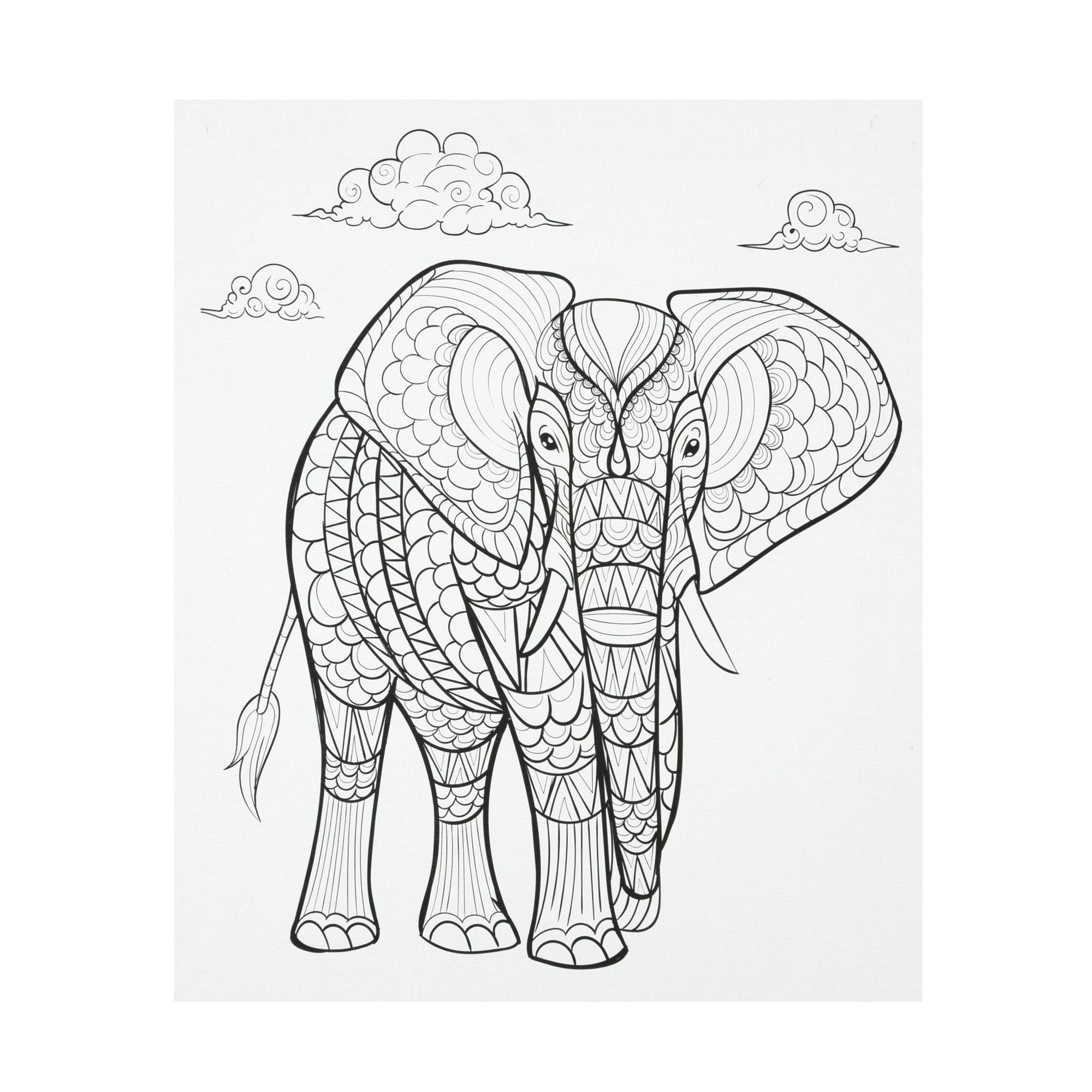 Elephant Colour-in Canvas