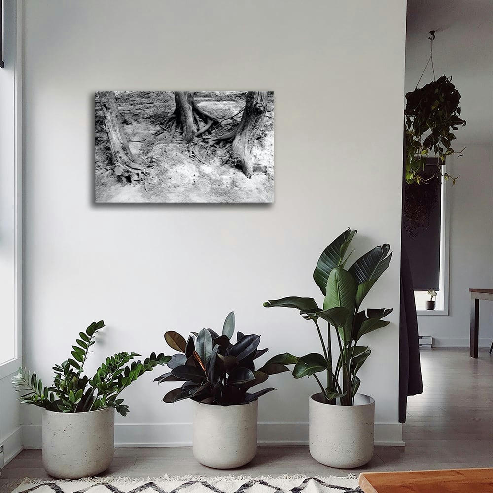 - Tableau impression sur toile racines 60x90cm