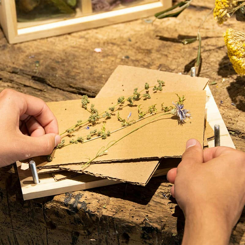 - Presse fleurs et herbes