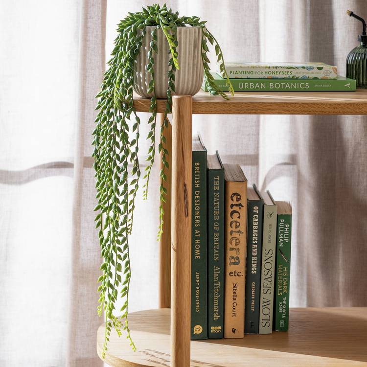 Habitat Artificial Green Succulent in Cream Ceramic Pot