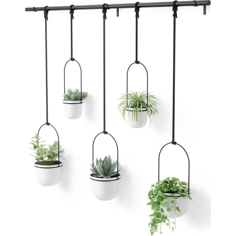 Blumenampel 5er-Set Triflora