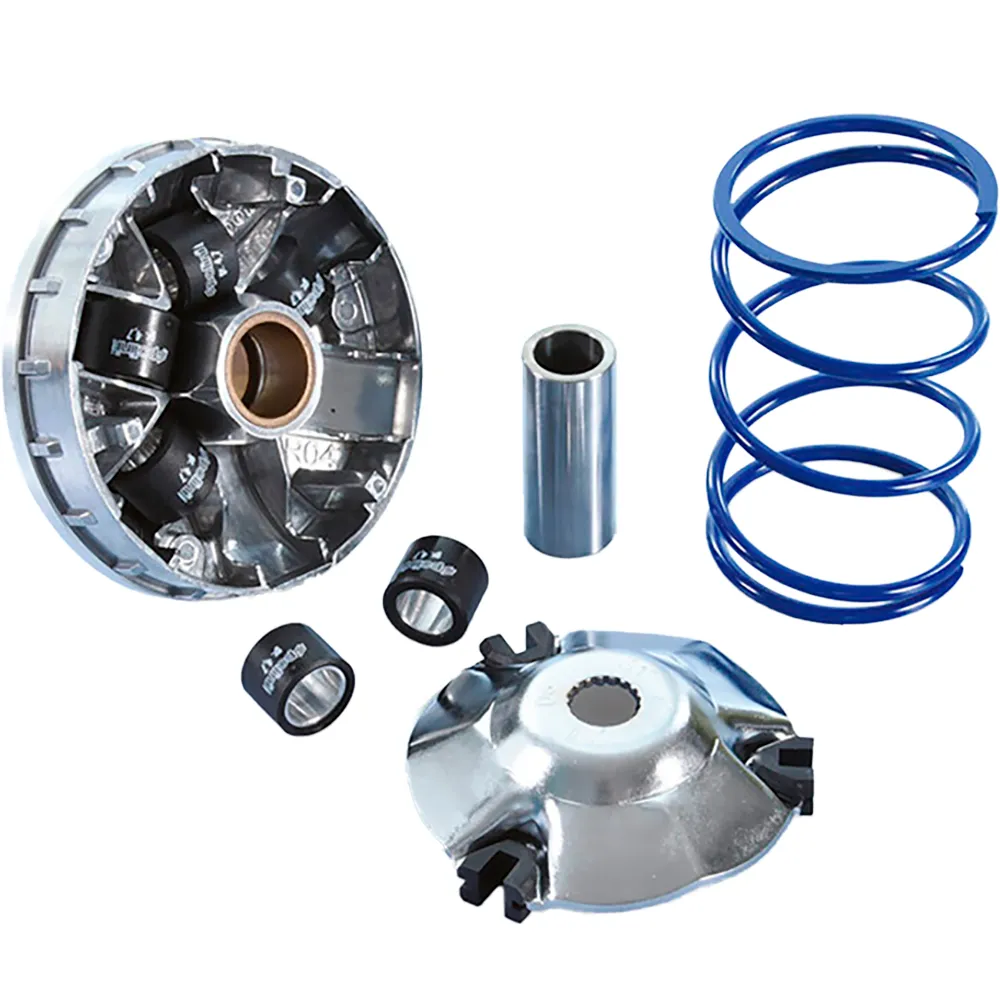 Polini 241773 variator kit