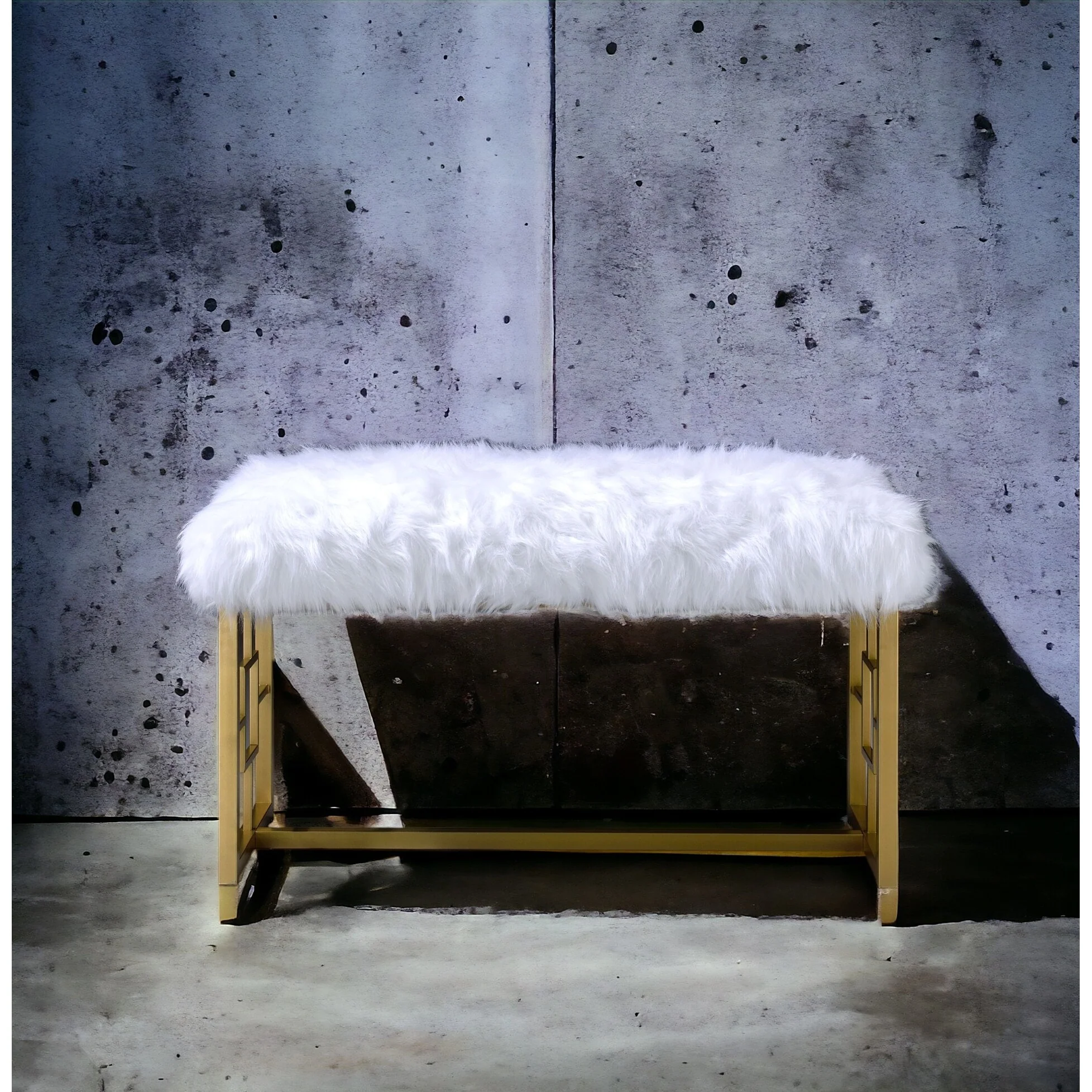 Modern & Contemporary Bench with Cushuion