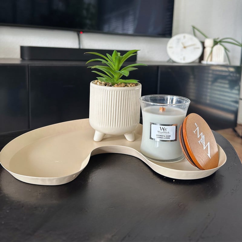 Vetplantje in pot - beige - &Oslash;8x15 cm