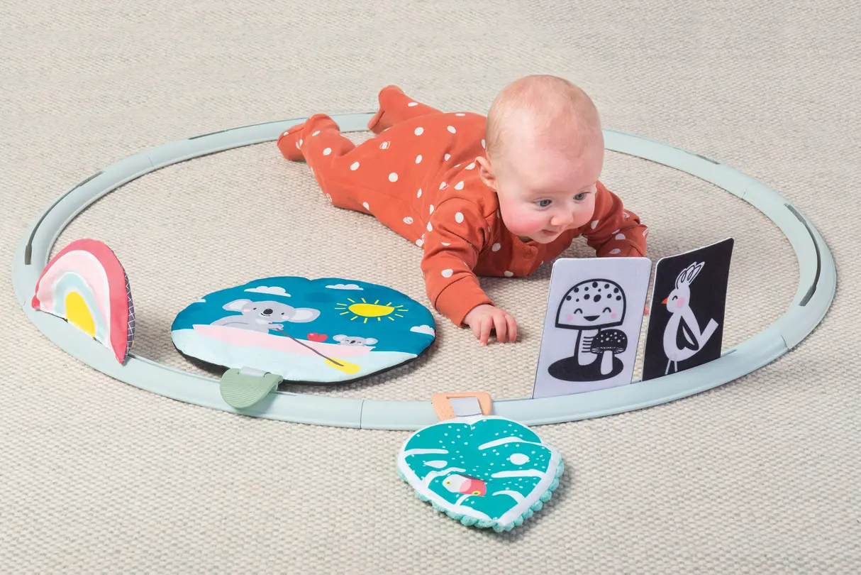 Spielzeug Taf Toys