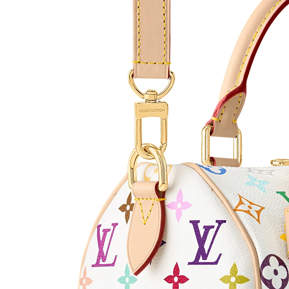 Louis Vuiton LV x TM Speedy Bandoulière 25