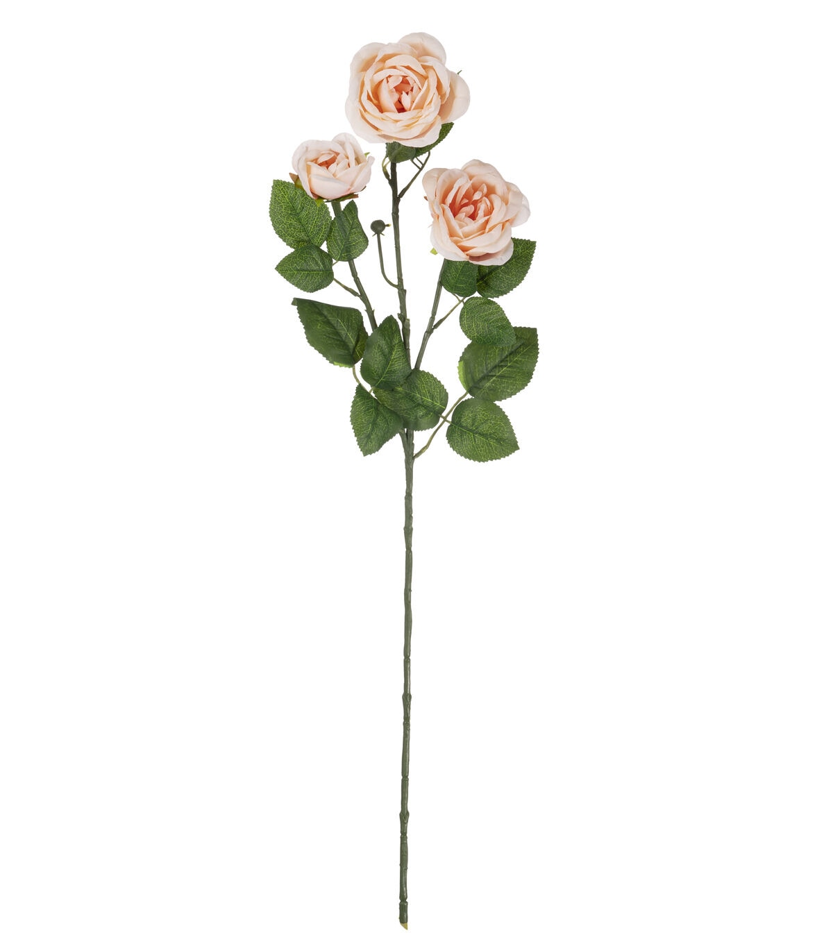 31 Blush Cabbage Rose Stem by Bloom Room