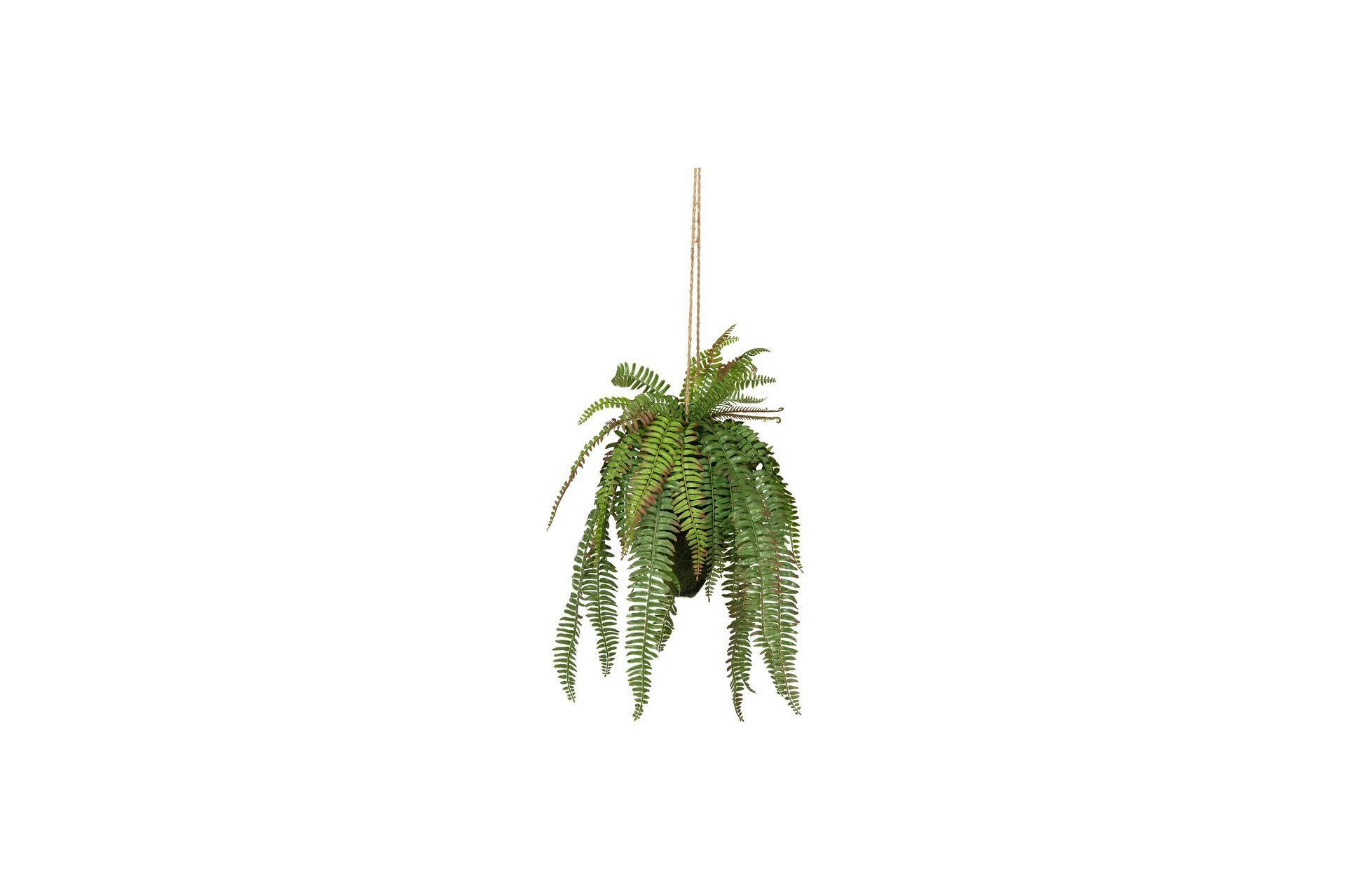 FERN - Plante artificielle H58