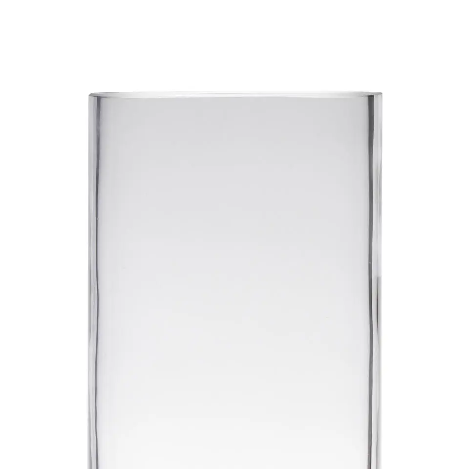 Bellatio Design Vaas Home Basics - cilinder - glas - 12 x 35 cm