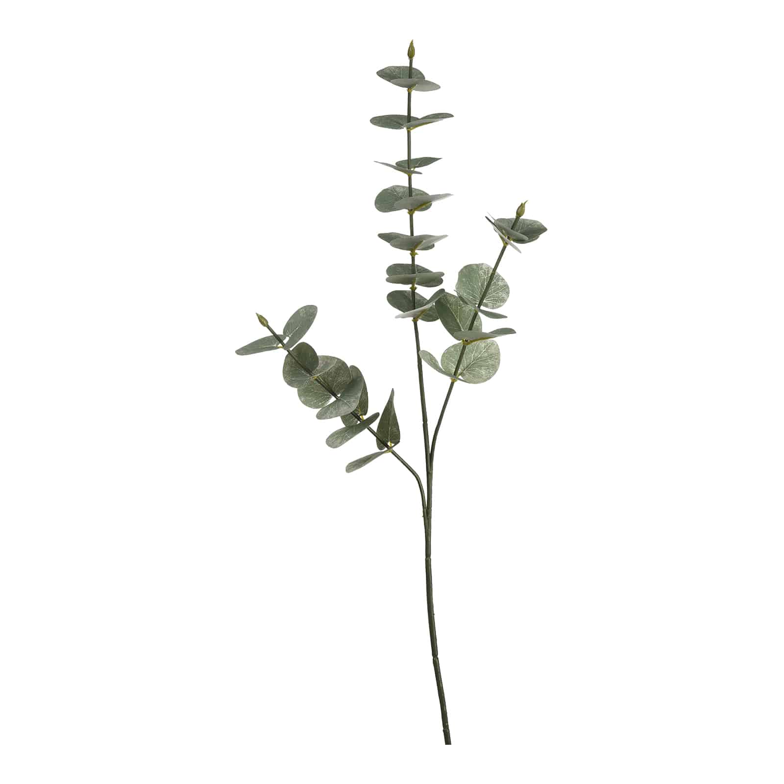 Kunstzweig Eukalyptus Grün,L 680 mm