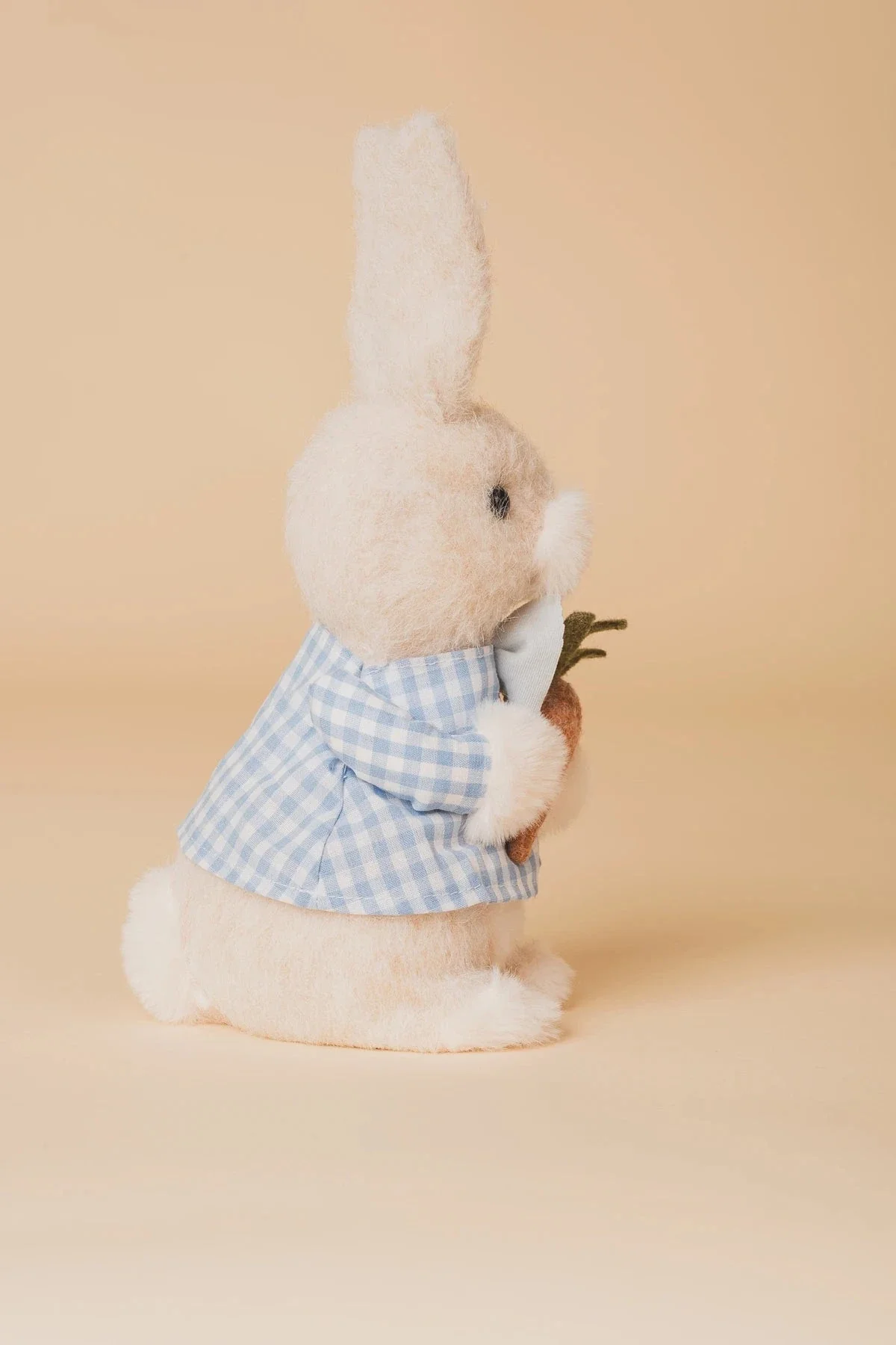 Blue Easter Bunny Boy Holding Carrot