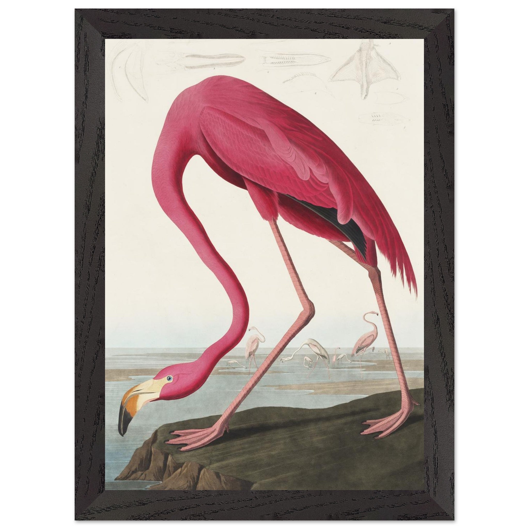 Artfulprints Poster met Lijst American flamingo  - A4 21x29.7 cm - Roze