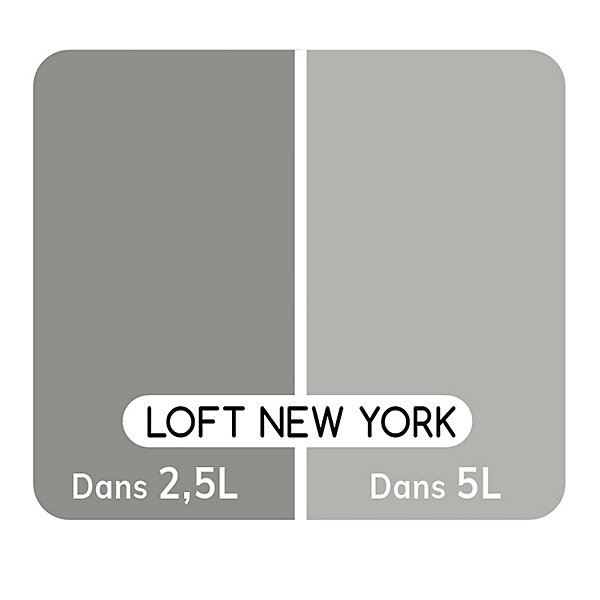Colorant pour peinture Doypack Ambiance intérieure gris loft new york 250ml