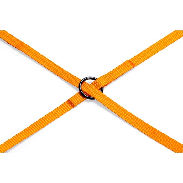 Hundeleine »Sportiv«, BxL: 4,5 x 115 cm, orange, Nylon