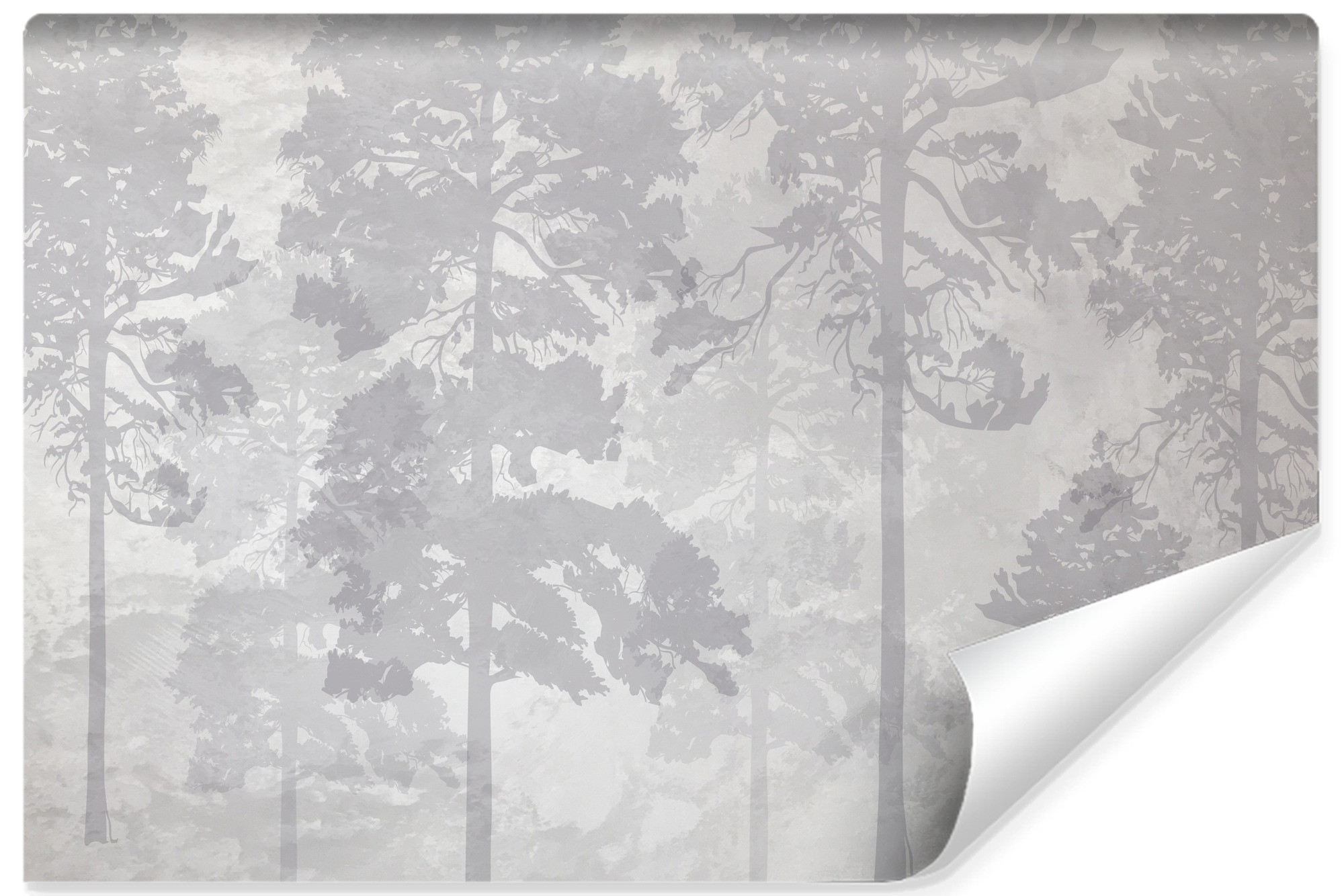 Fototapeta Do Sypialni LAS We Mgle Styl Vintage 90x60cm