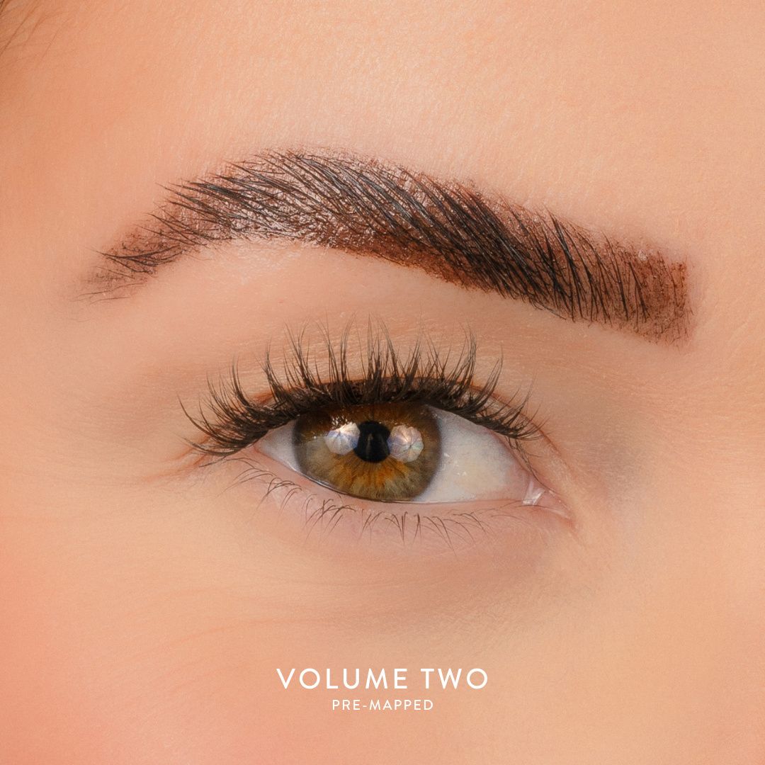 House of Amor Volume 2 - Pre Mapped Multipack