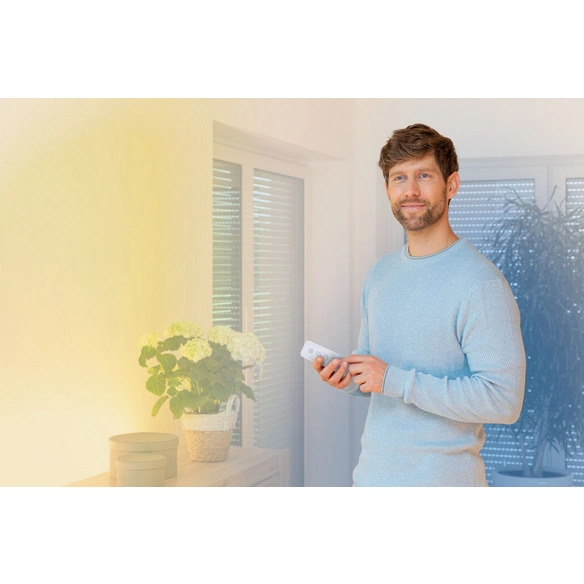 Fernbedienung, Smart Home, ZB Basic, weiß