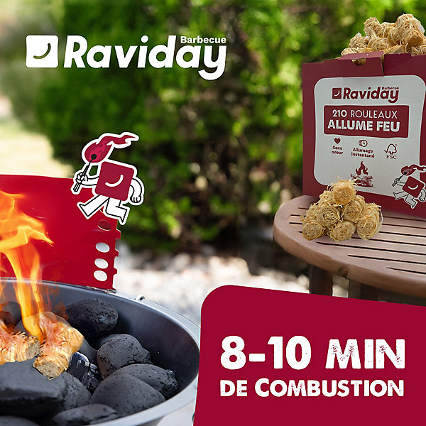 Allume Feu Laine de Bois, 210 pièces - 2.5 kg, Allume Feu Cheminée, RAVIDAY