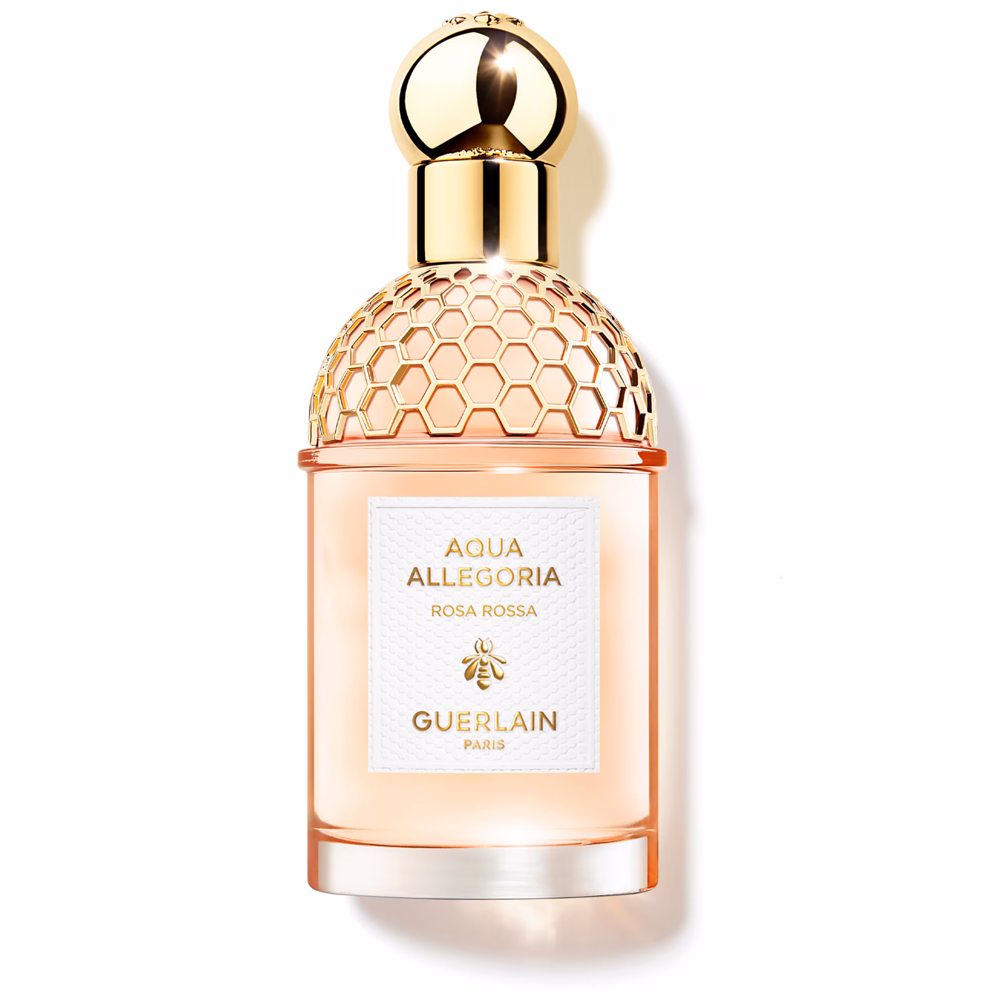 AQUA ALLEGORIARosa rossa - eau de toilette