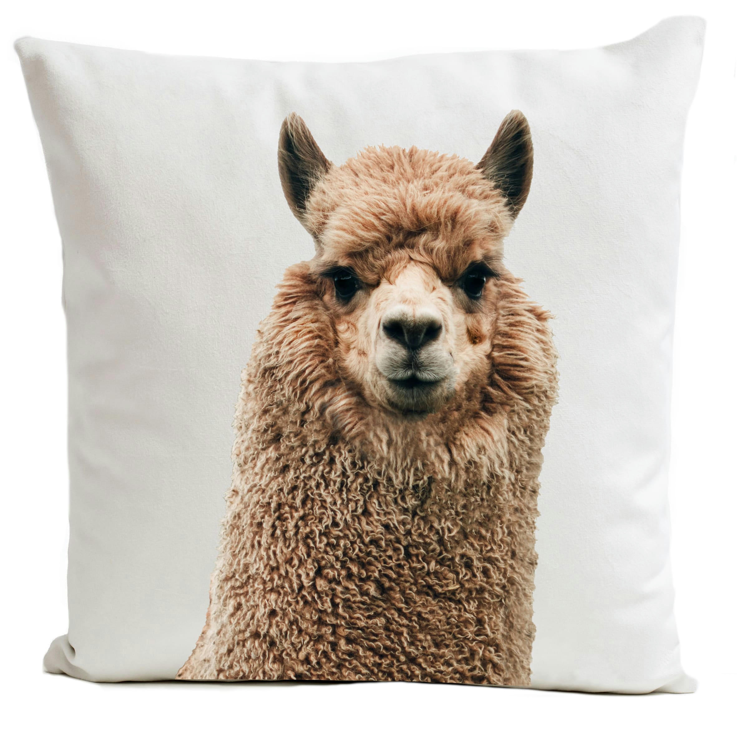 - Coussin animal alpaga suédine blanc 40x40cm