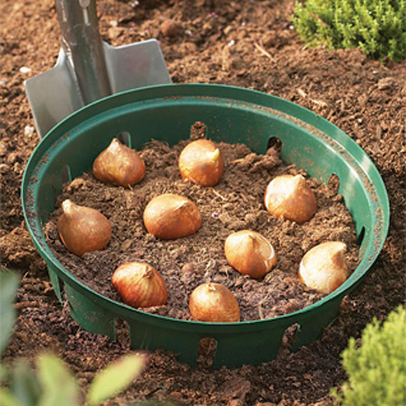 Lökkorg rund 30 cm, 2-pack