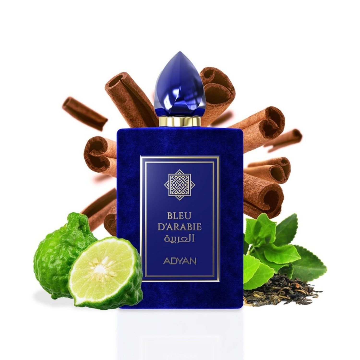 Adyan Bleu D'Arabie Extrait De Parfum - 100ml (3.4Oz)