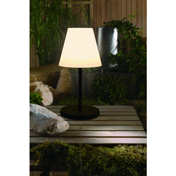 LED-Solarleuchte »Linus 2«, H: 62 cm, RGB-Farbwechsel, inkl. USB-Kabel