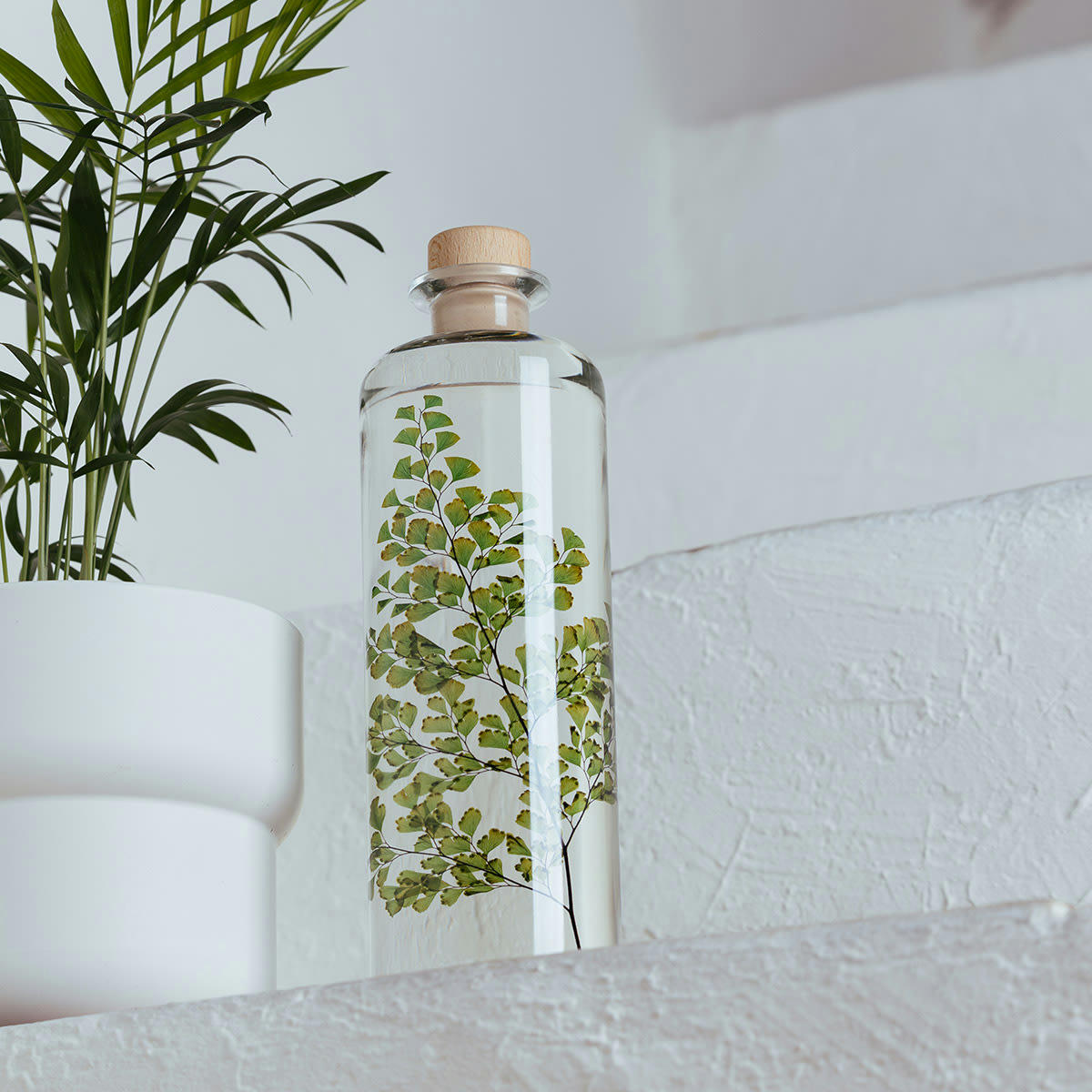 HERBARIUM DE THEOPHILE - Plante immergée Fougère Luthi verte