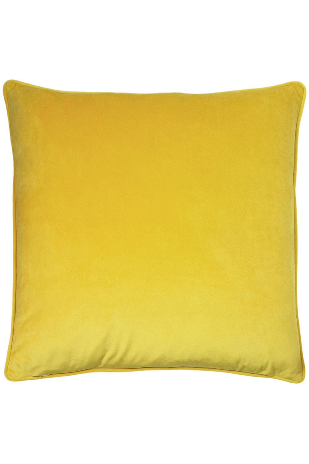 Paoletti Hortus Embroidered Bee Soft Velvet Pipe Trimmed Cushion