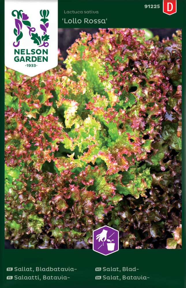 GRØNNSAKSFRØ NELSON GARDEN BLADSALAT LOLLO ROSSA