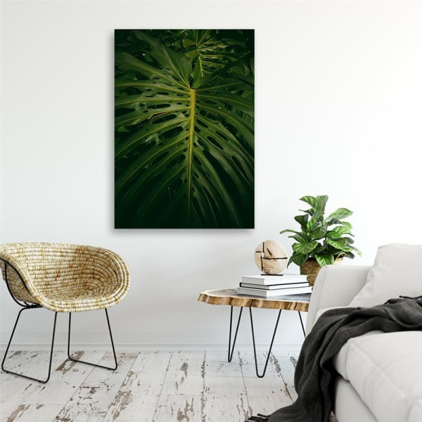 Feeby Obraz na płótnie Egzotyczny liść 40x60