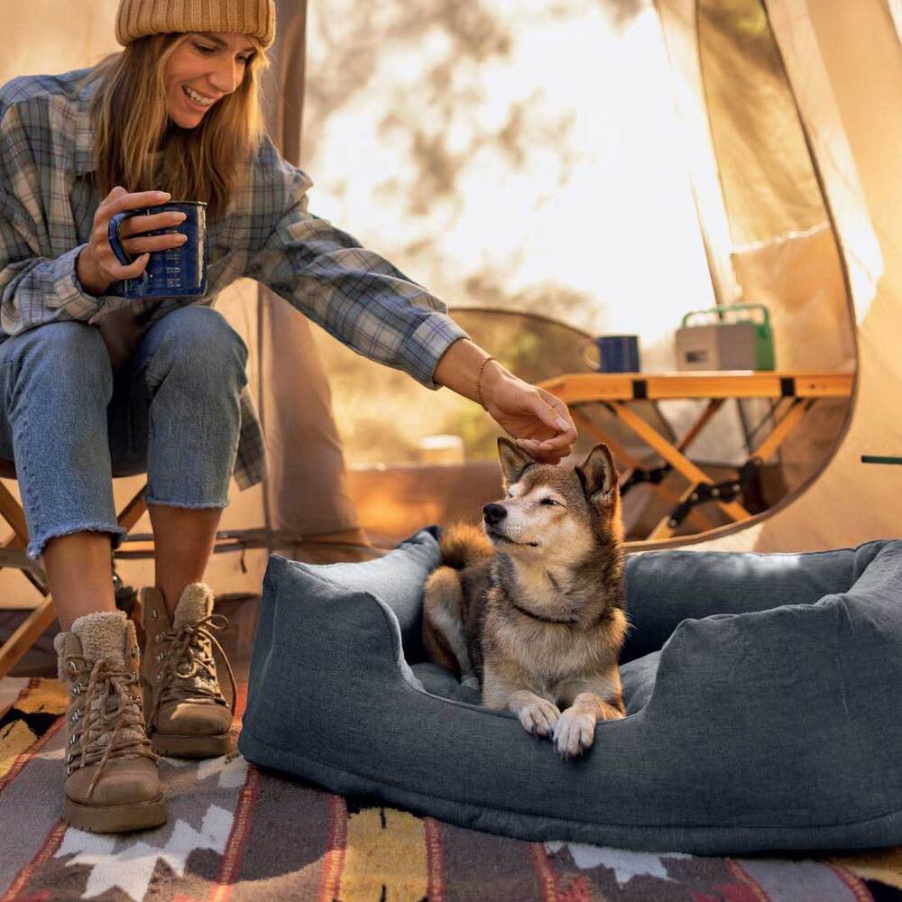 Panier gonflable pour animaux Medium