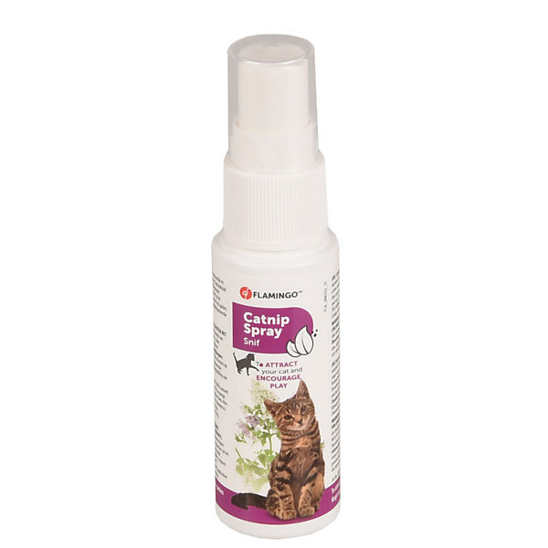 Catnip en spray de 25 ml pour votre chat