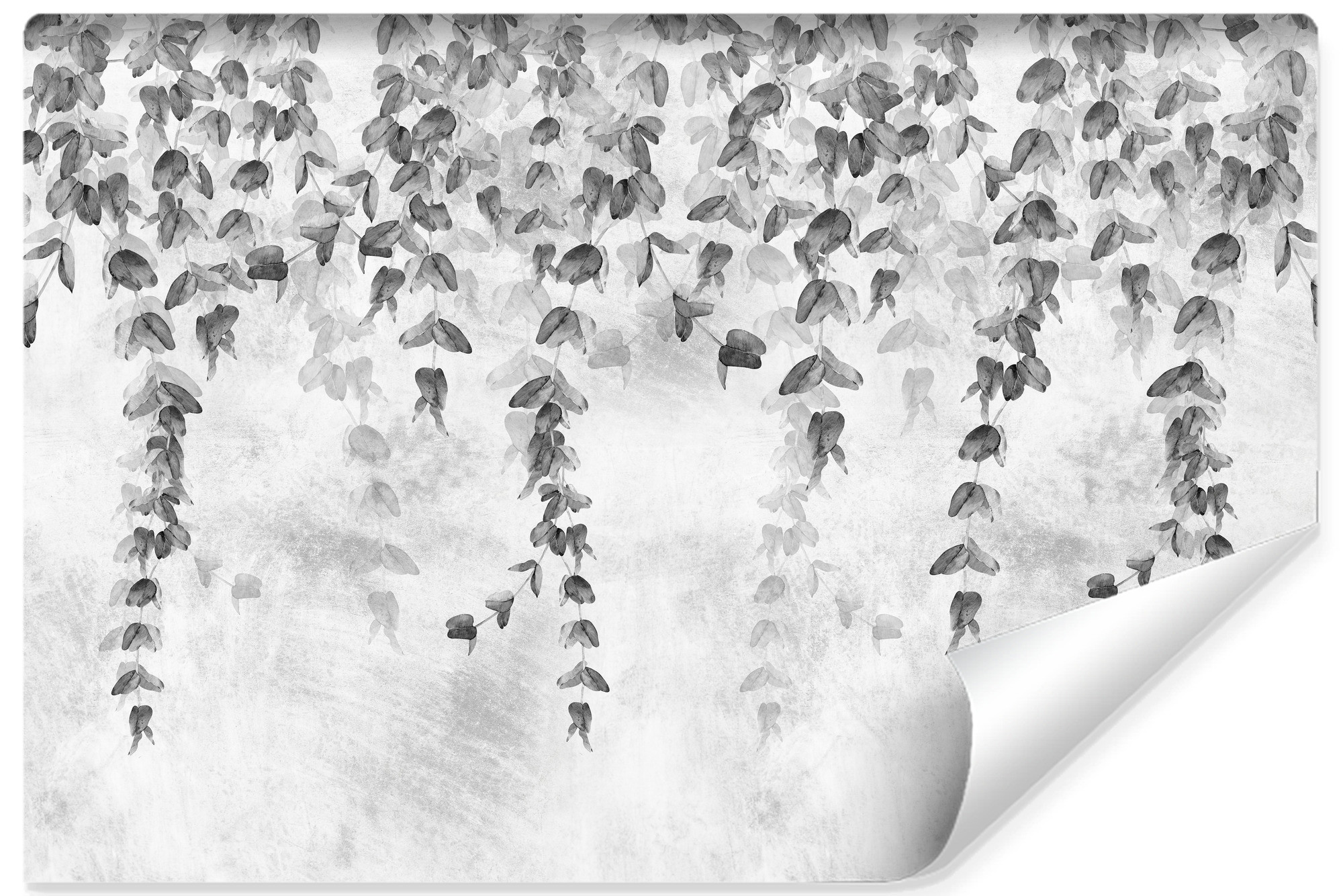 Fototapeta Do Sypialni Czarne liście Na Betonie 90x60cm