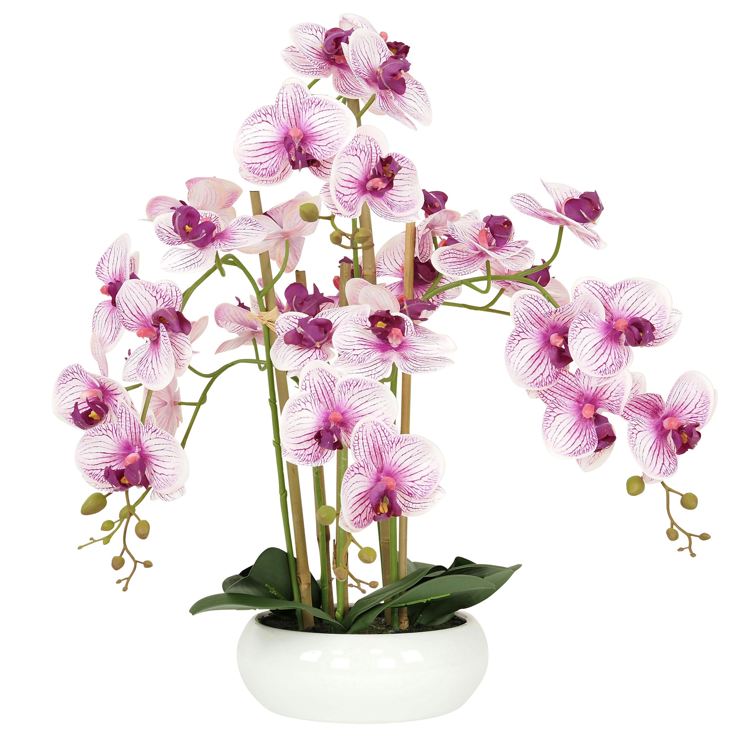 - Orchidées artificielles blanches fuchsias 55cm