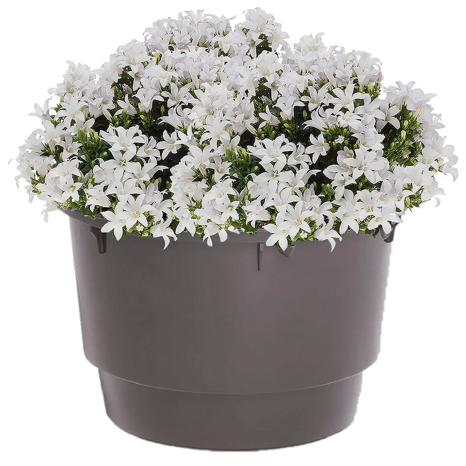 Binnenpot voor bloempotten/plantenpotten - antraciet - 18 liter