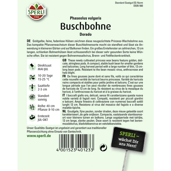 Buschbohne »Dorado«, feine, fadenlose Prinzess-Wachsbohne