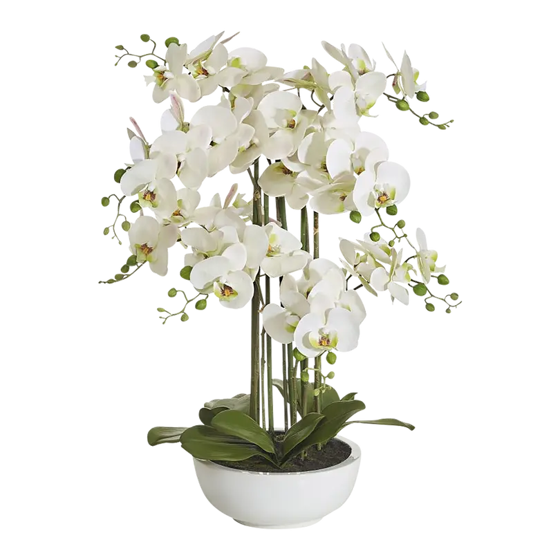 Kunstpflanze Phalaenopsis