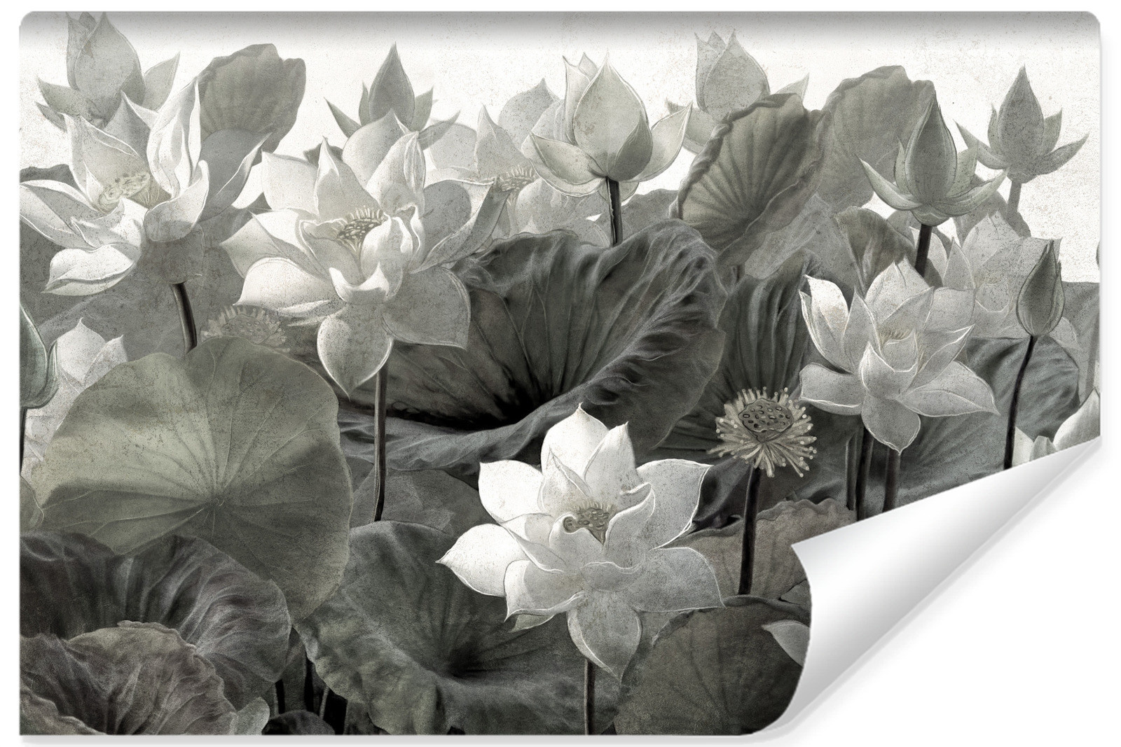 Fototapeta Abstrakcyjne Kwiaty Lotosu Styl Retro 90x60cm