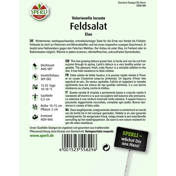 Feldsalat »Elan«, für die Ernte von Herbst bis Frühjahr, frosthart