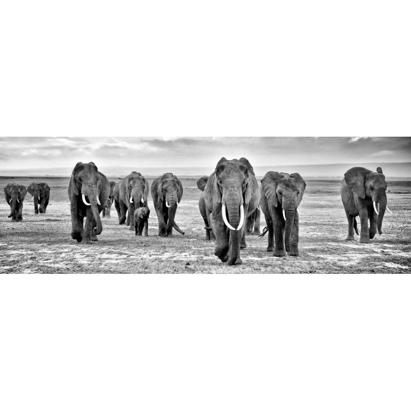 Toile Troupeau d'éléphants 97 x 30 CM CEANOTHE