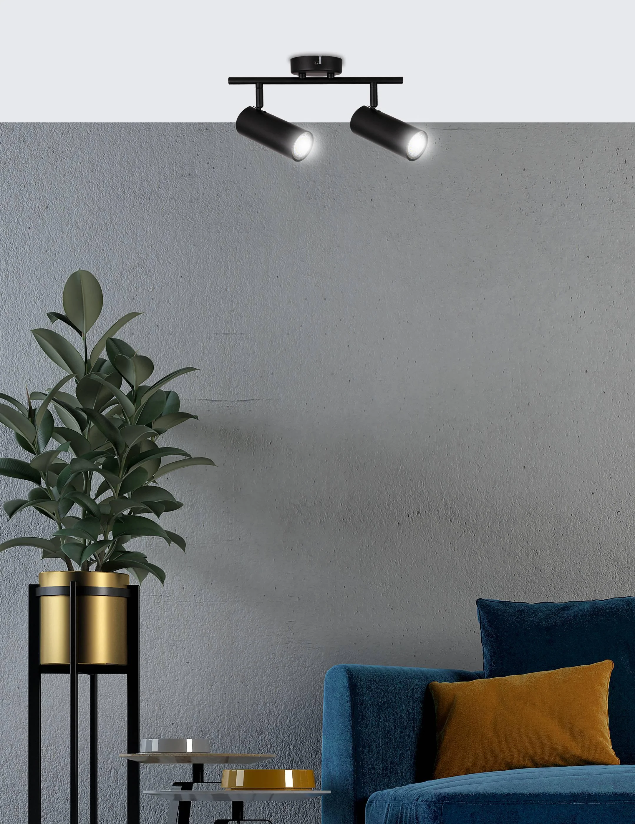 Plafondlamp Mylan 2-lichts