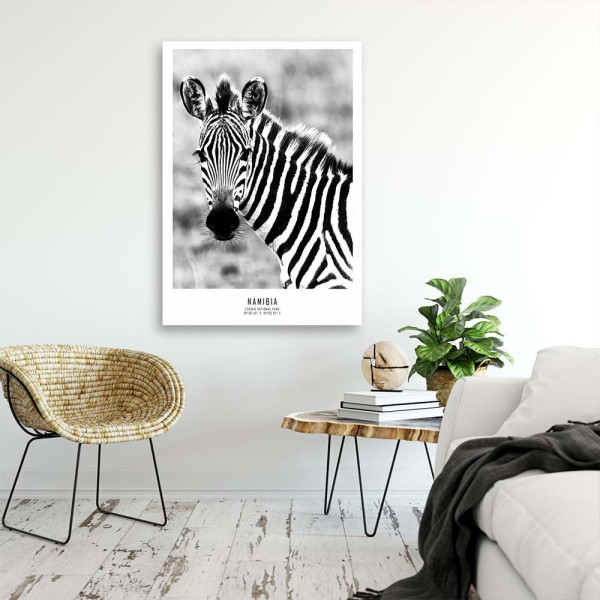 Feeby Obraz na płótnie Ciekawska zebra 40x60