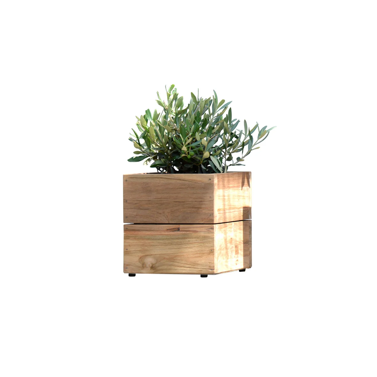 Jan Kurtz - Blumenkübel Minigarden