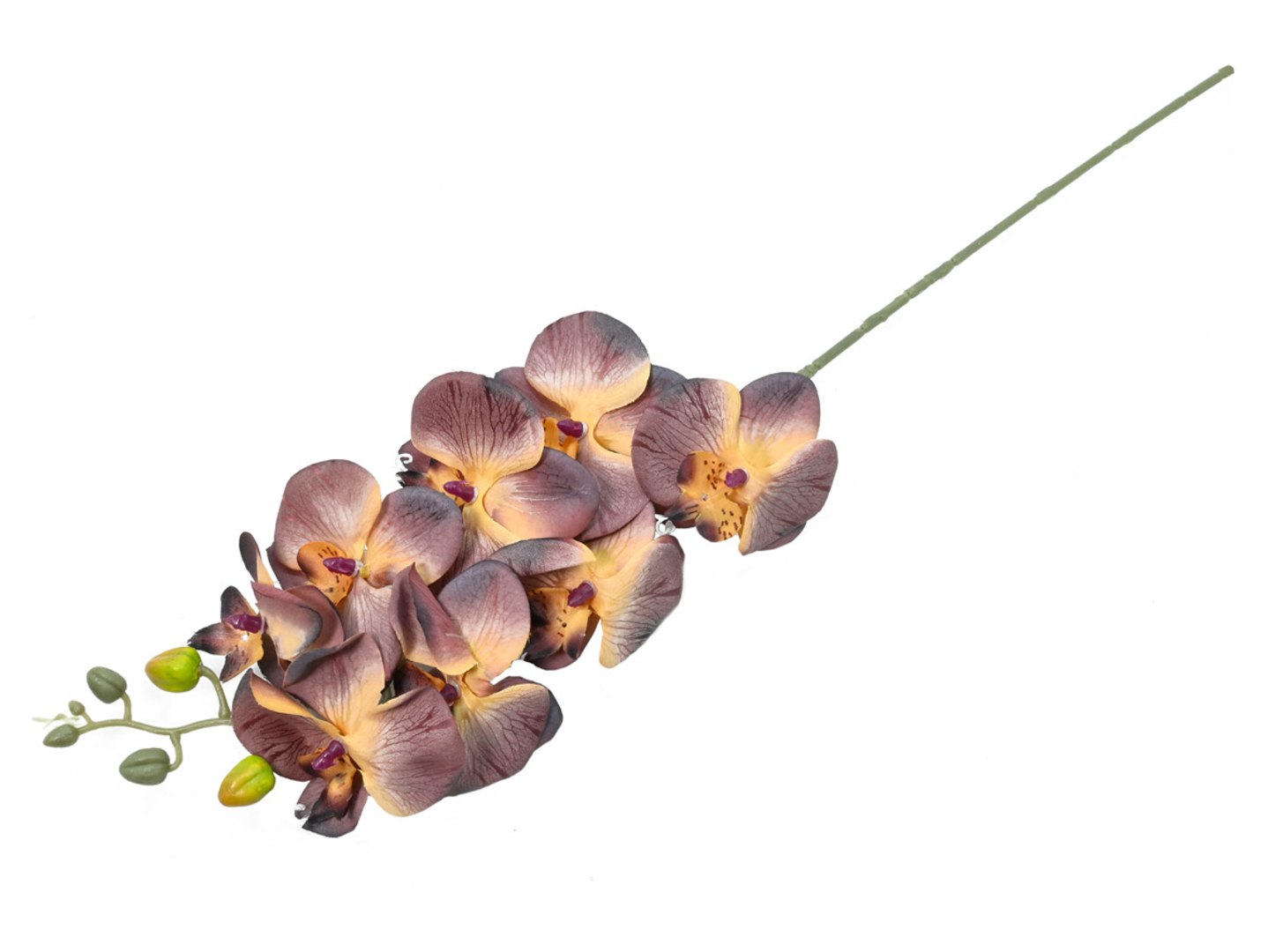 Storczyk gałązka 78 cm fioletowa
